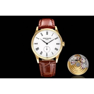 PPF/파텍필립 칼라트라바 3919