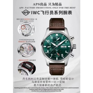 APS/아이더블유씨 파일럿