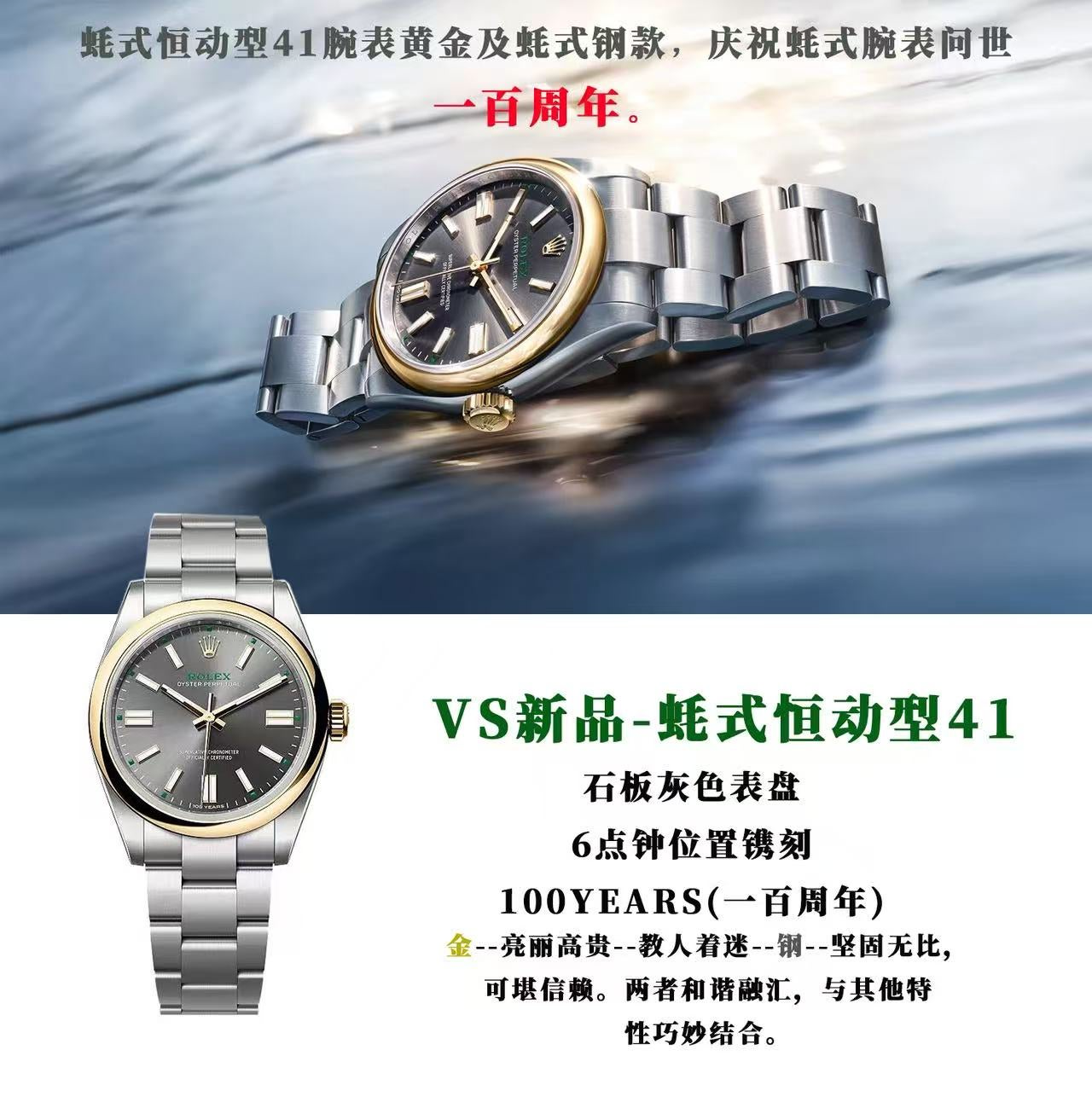 VS/ 롤렉스 오이스터퍼폐추얼 41MM 콤비 134303