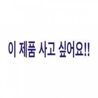 (개인결제)샤넬 premiere/  스틸 베젤    (이미지 별첨)